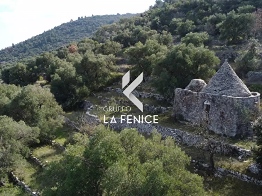 Immagine 23 di Rustico / casale in vendita  in C.da Gravinella a Fasano