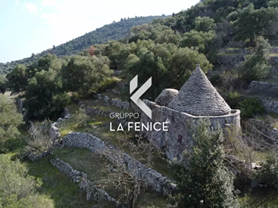 Immagine 24 di Rustico / casale in vendita  in C.da Gravinella a Fasano