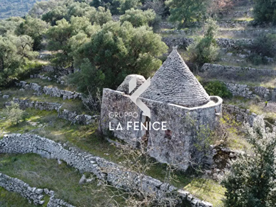 Immagine 25 di Rustico / casale in vendita  in C.da Gravinella a Fasano