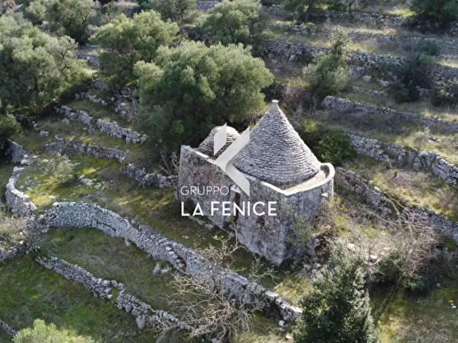 Immagine 26 di Rustico / casale in vendita  in C.da Gravinella a Fasano