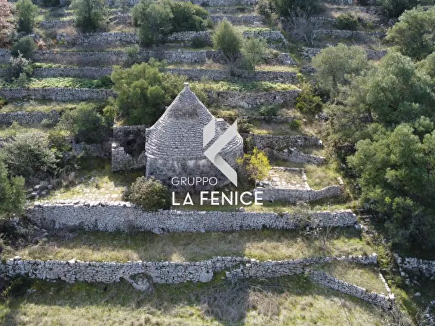 Immagine 27 di Rustico / casale in vendita  in C.da Gravinella a Fasano