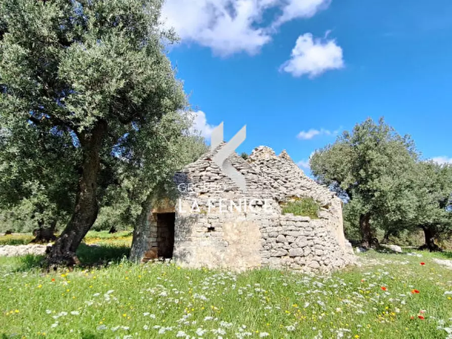 Immagine 1 di Rustico / casale in vendita  in C.da Gravinella a Fasano