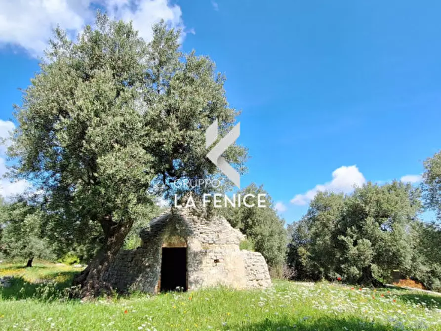 Immagine 2 di Rustico / casale in vendita  in C.da Gravinella a Fasano