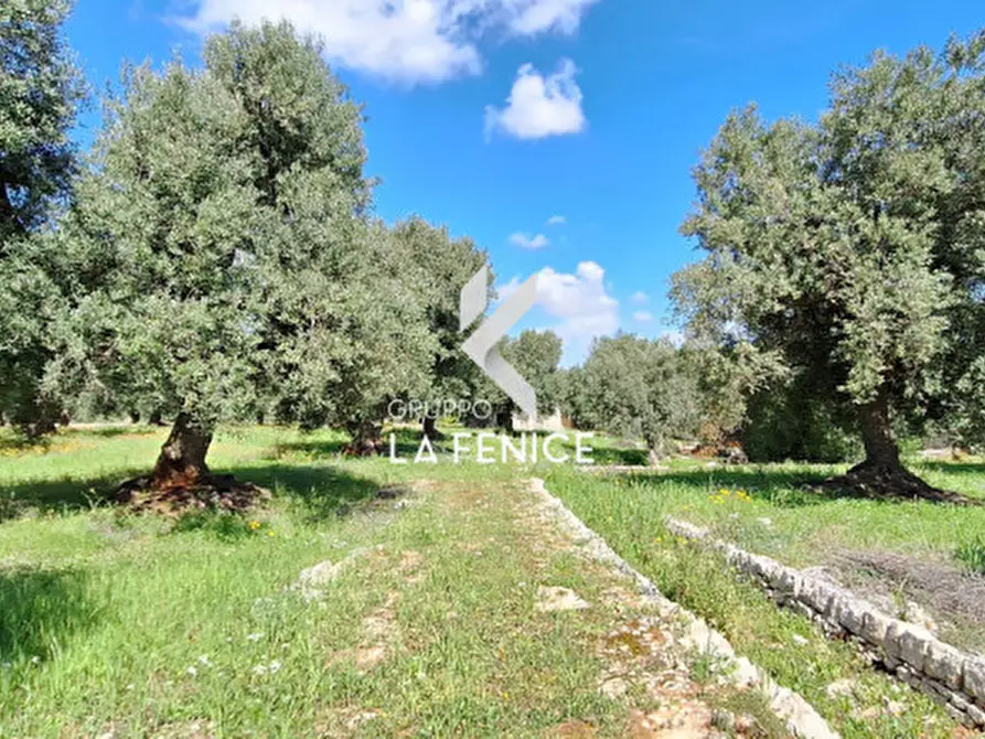 Immagine 5 di Rustico / casale in vendita  in C.da Gravinella a Fasano