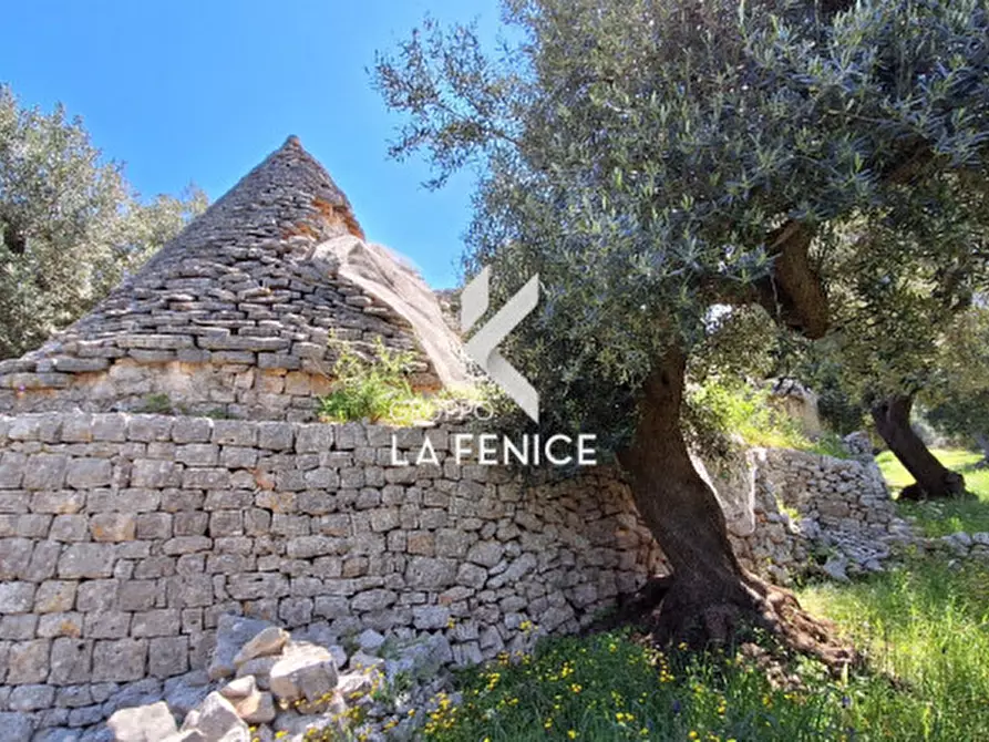 Immagine 6 di Rustico / casale in vendita  in C.da Gravinella a Fasano