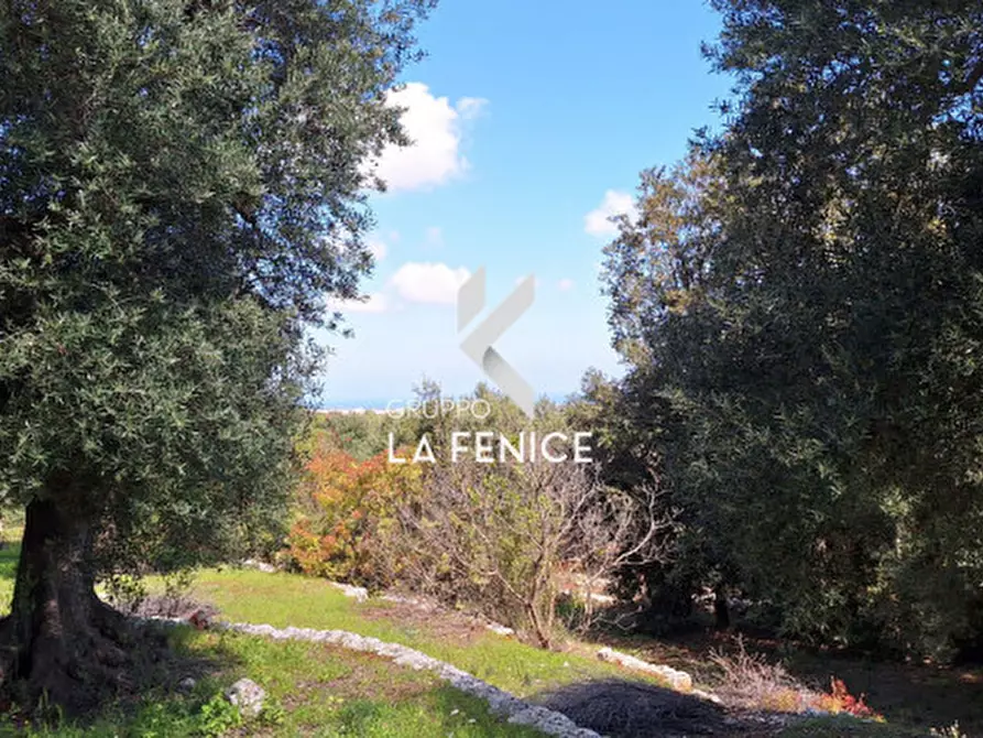 Immagine 11 di Rustico / casale in vendita  in C.da Gravinella a Fasano