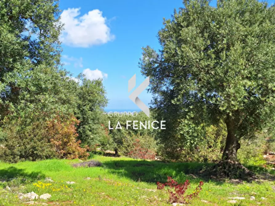 Immagine 12 di Rustico / casale in vendita  in C.da Gravinella a Fasano