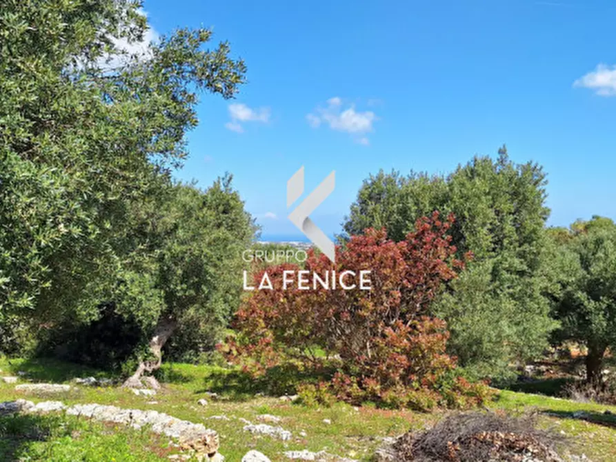 Immagine 13 di Rustico / casale in vendita  in C.da Gravinella a Fasano