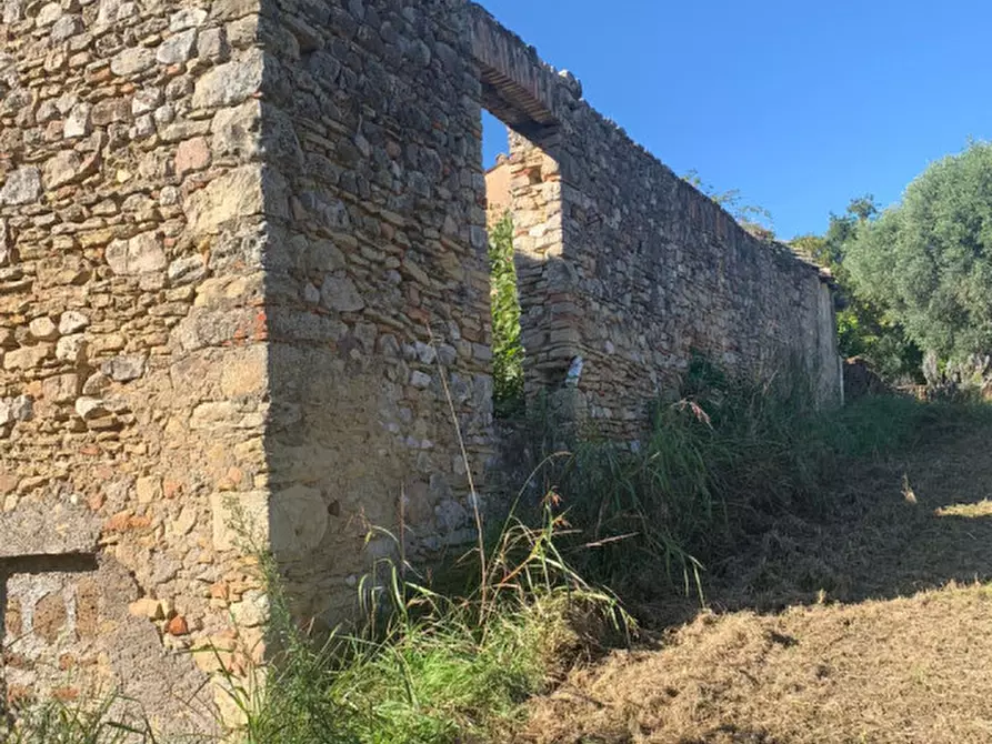 Immagine 1 di Terreno in vendita  in LOC.TA CROVAGNANO a Moricone