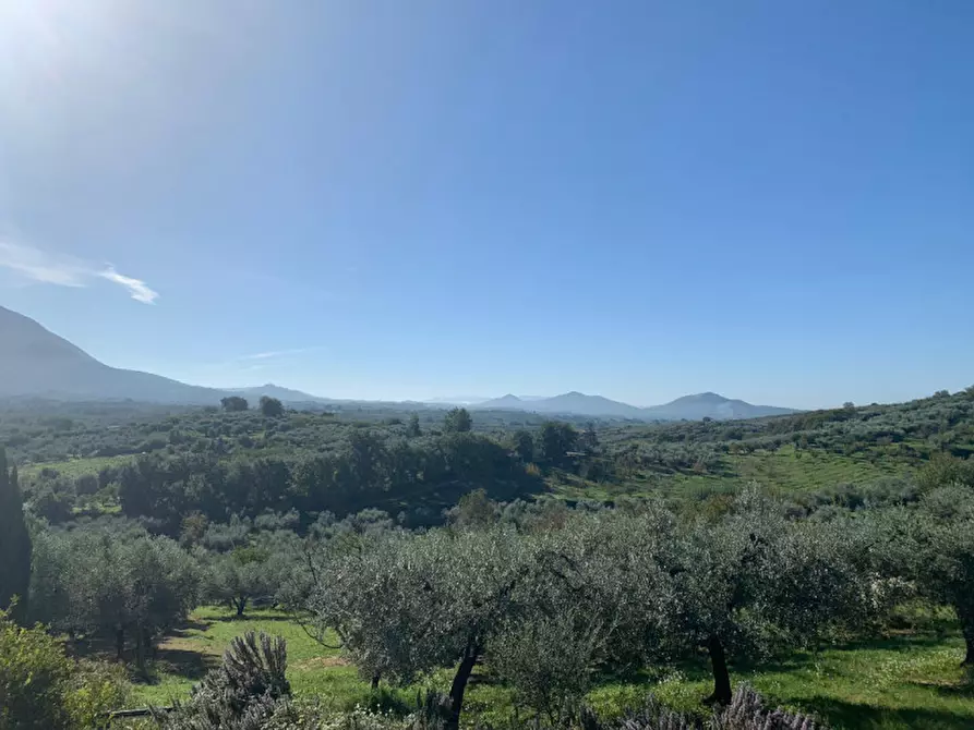 Immagine 14 di Terreno in vendita  in LOC.TA CROVAGNANO a Moricone
