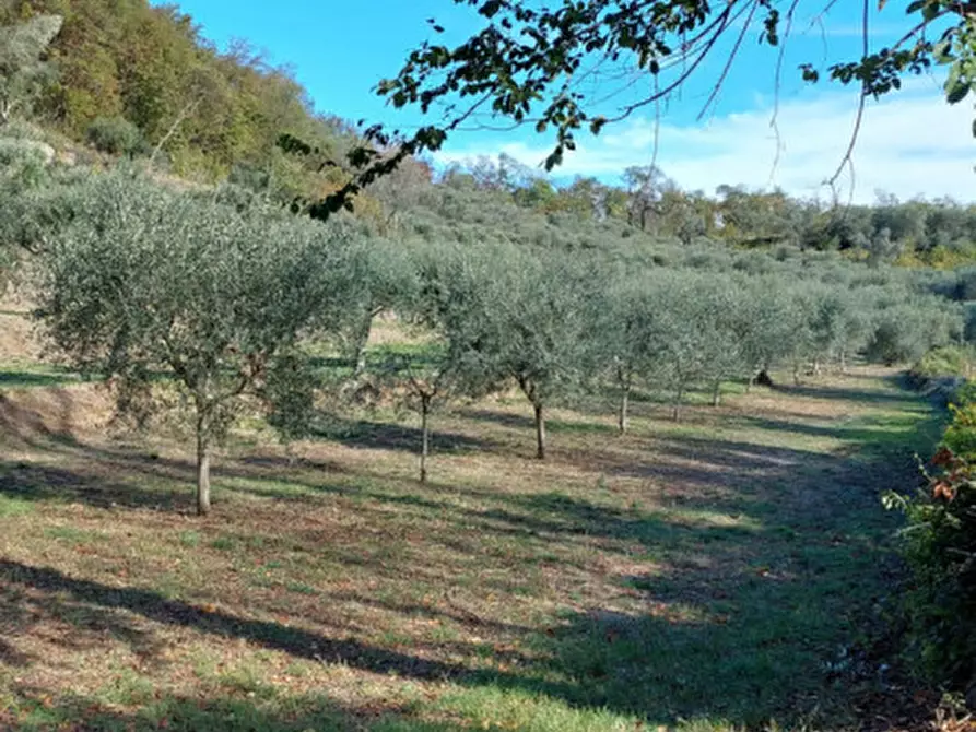 Immagine 1 di Terreno in vendita  in 7 Guadi, via Sant’Eusebio a Galzignano Terme