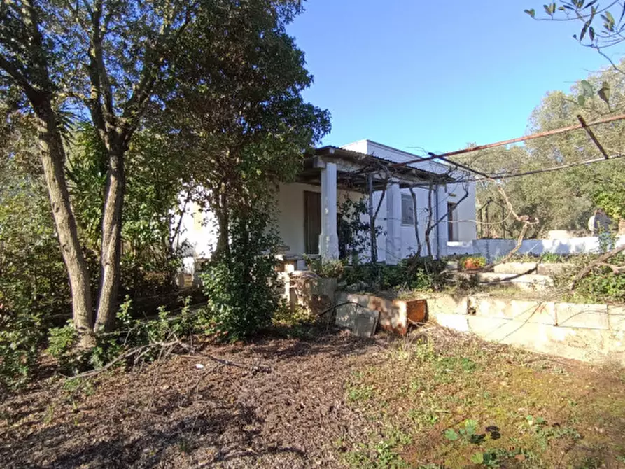 Immagine 2 di Villa in vendita  in COAM a Ceglie Messapico