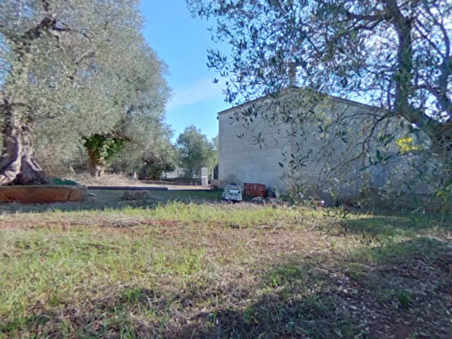 Immagine 46 di Villa in vendita  in COAM a Ceglie Messapico