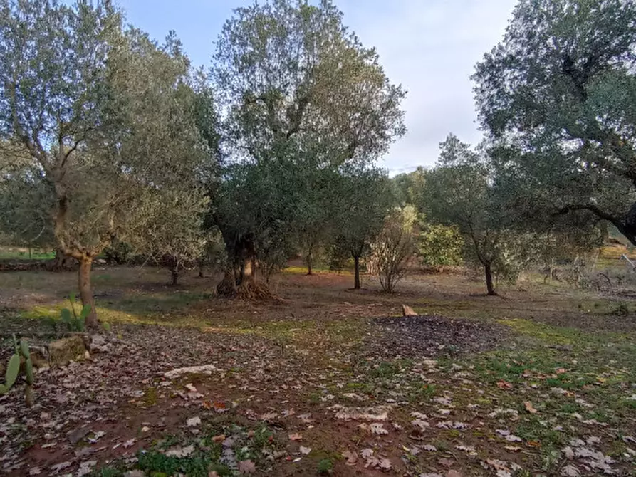 Immagine 48 di Villa in vendita  in COAM a Ceglie Messapico