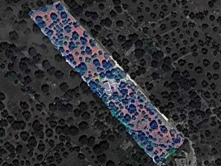 Immagine 51 di Villa in vendita  in COAM a Ceglie Messapico