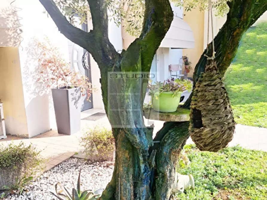 Immagine 1 di Casa indipendente in vendita  in via Boscalto Ovest a Loreggia