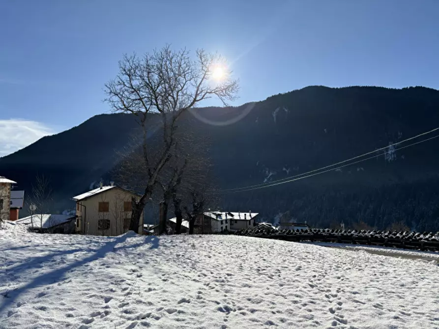 Immagine 4 di Terreno in vendita  a Auronzo Di Cadore