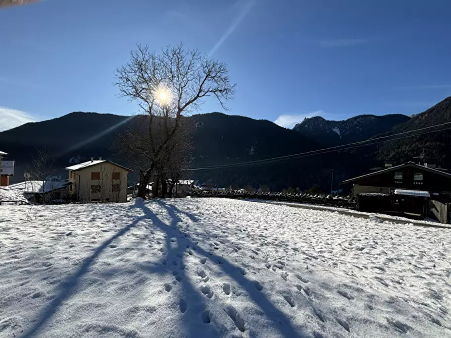 Immagine 5 di Terreno in vendita  a Auronzo Di Cadore