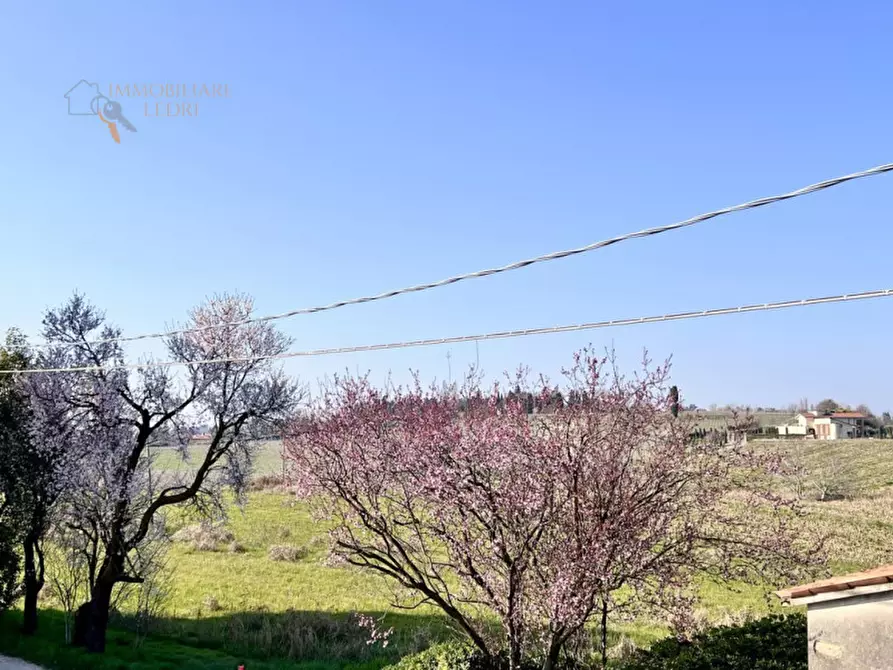 Immagine 21 di Rustico / casale in vendita  in via Canova a Sommacampagna
