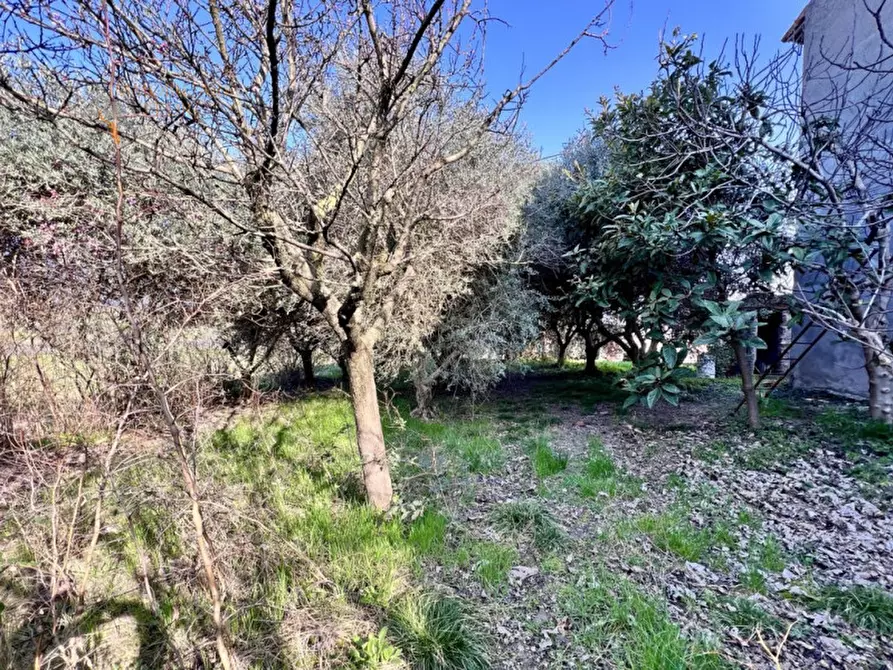 Immagine 35 di Rustico / casale in vendita  in via Canova a Sommacampagna