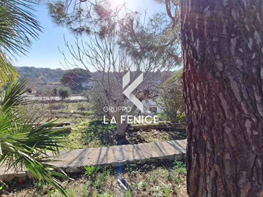 Immagine 18 di Villa in vendita  in contrada Laureto a Locorotondo