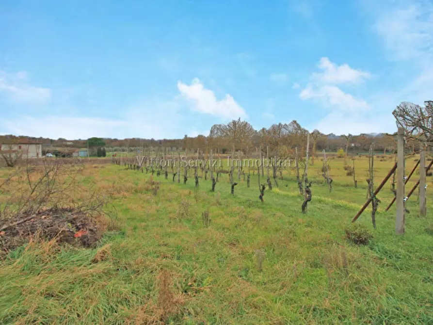 Immagine 24 di Casa indipendente in vendita  in via piave a Sinalunga