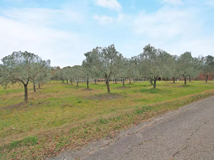 Immagine 25 di Casa indipendente in vendita  in via piave a Sinalunga