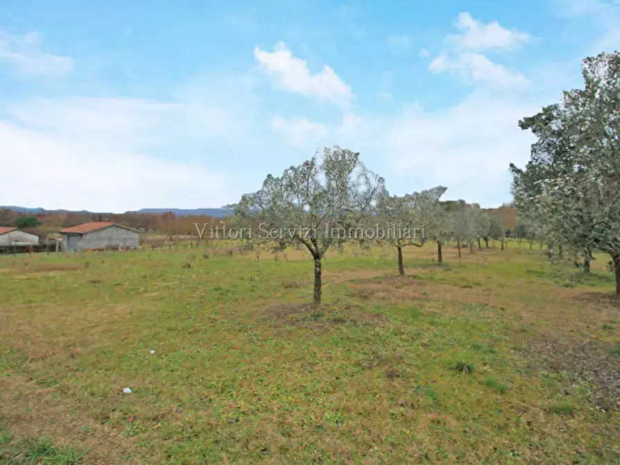 Immagine 26 di Casa indipendente in vendita  in via piave a Sinalunga