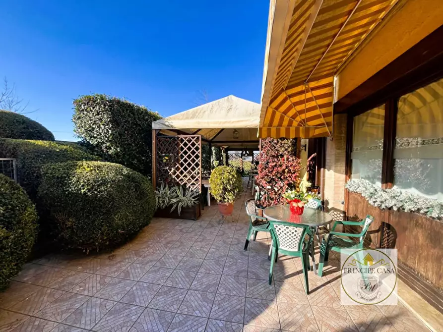 Immagine 27 di Attività commerciale in vendita  a Vescovana