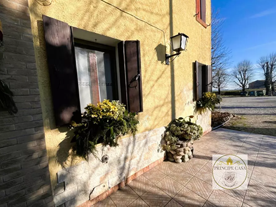 Immagine 28 di Attività commerciale in vendita  a Vescovana