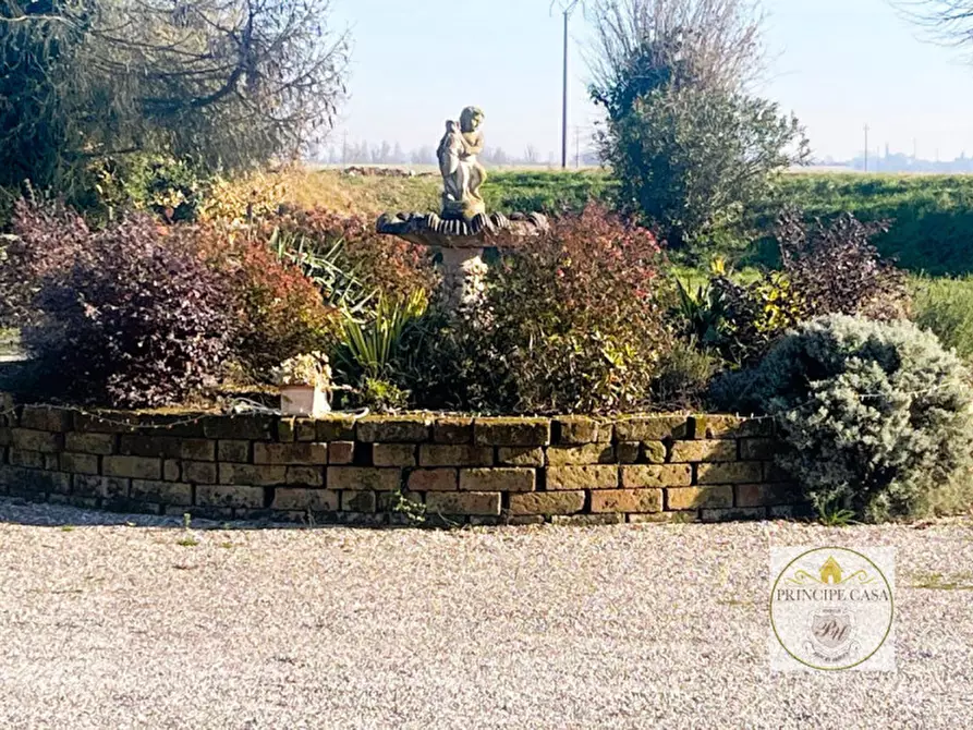 Immagine 30 di Attività commerciale in vendita  a Vescovana