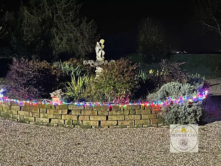 Immagine 35 di Attività commerciale in vendita  a Vescovana