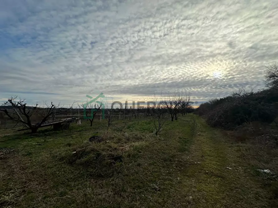 Immagine 2 di Terreno in vendita  in LOCALITA' CA` GINI a Colognola Ai Colli