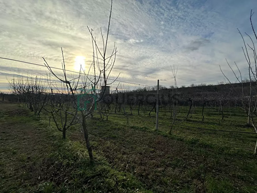 Immagine 3 di Terreno in vendita  in LOCALITA' CA` GINI a Colognola Ai Colli