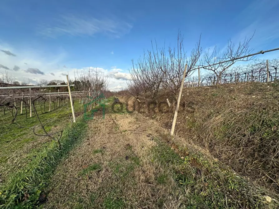 Immagine 5 di Terreno in vendita  in LOCALITA' CA` GINI a Colognola Ai Colli