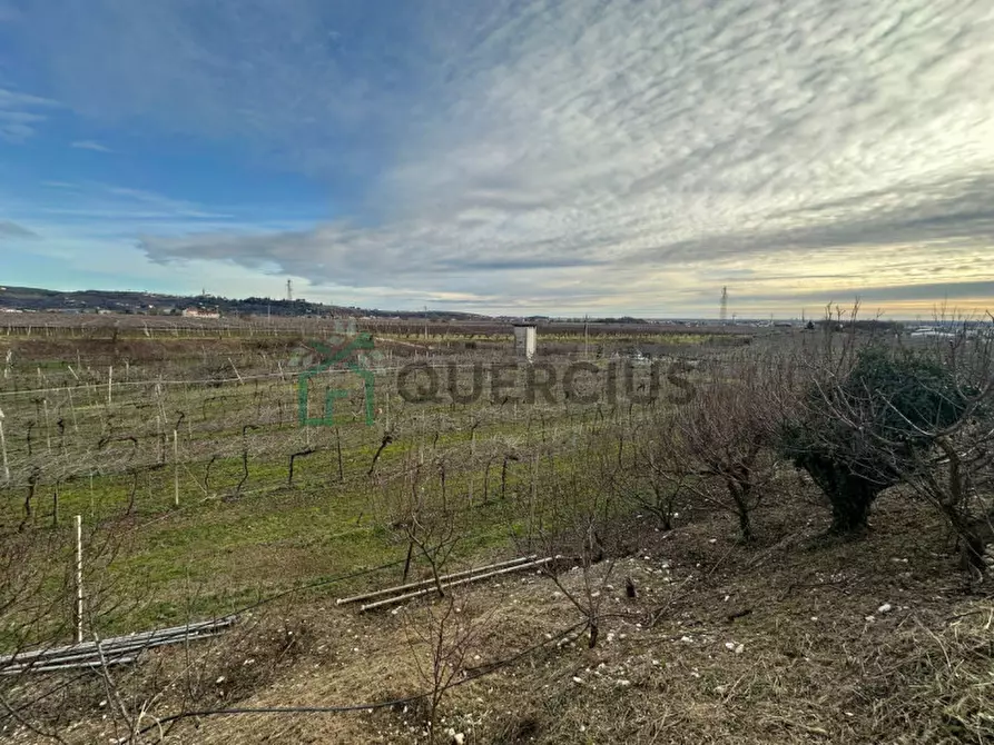 Immagine 6 di Terreno in vendita  in LOCALITA' CA` GINI a Colognola Ai Colli