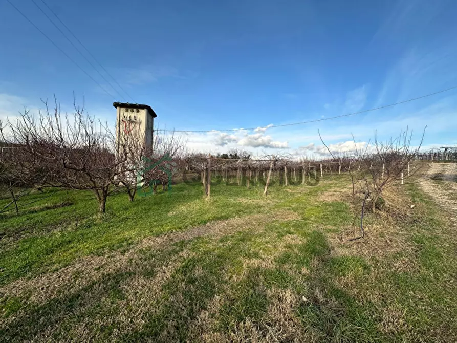 Immagine 8 di Terreno in vendita  in LOCALITA' CA` GINI a Colognola Ai Colli