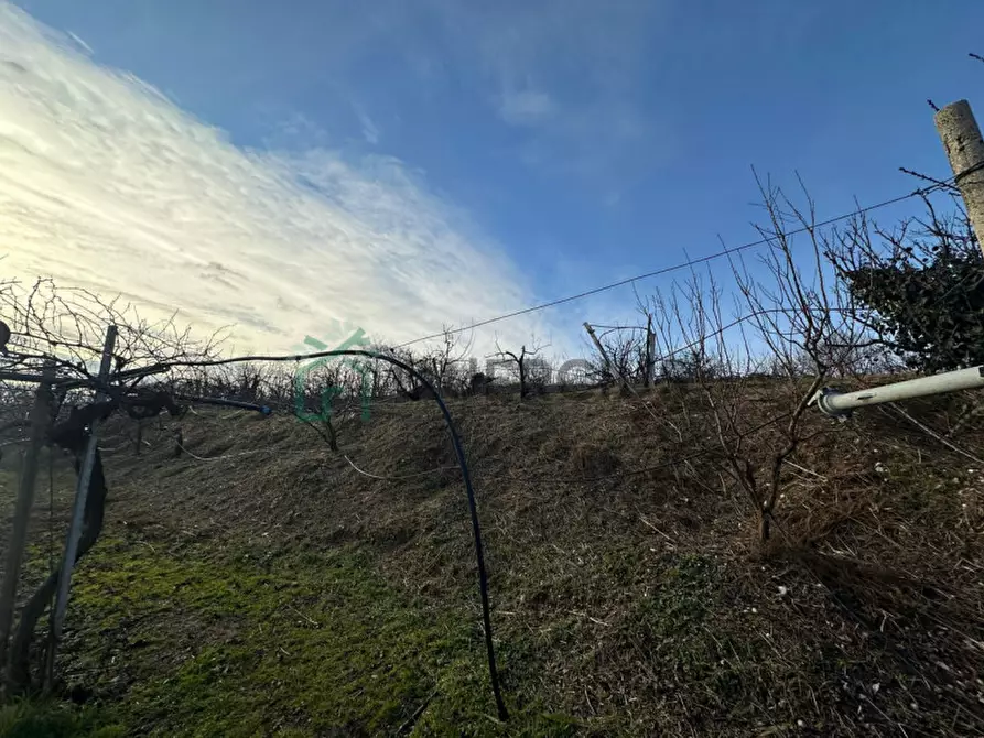 Immagine 9 di Terreno in vendita  in LOCALITA' CA` GINI a Colognola Ai Colli