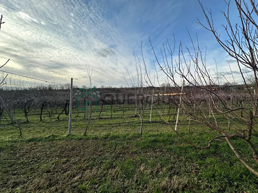 Immagine 10 di Terreno in vendita  in LOCALITA' CA` GINI a Colognola Ai Colli