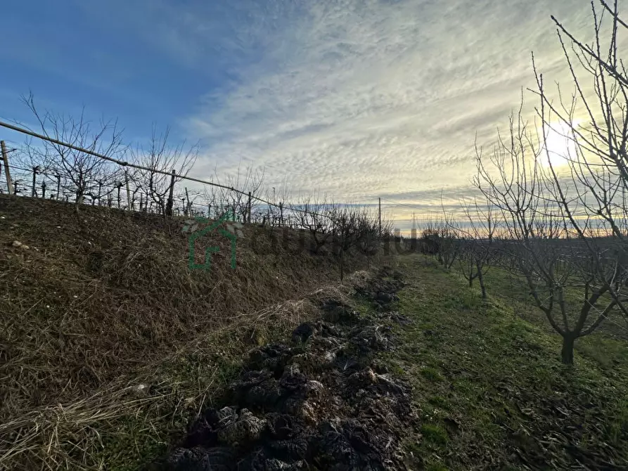 Immagine 11 di Terreno in vendita  in LOCALITA' CA` GINI a Colognola Ai Colli