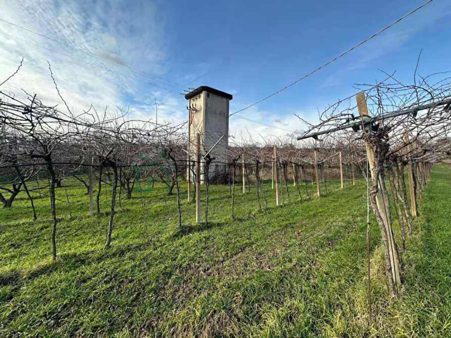 Immagine 13 di Terreno in vendita  in LOCALITA' CA` GINI a Colognola Ai Colli