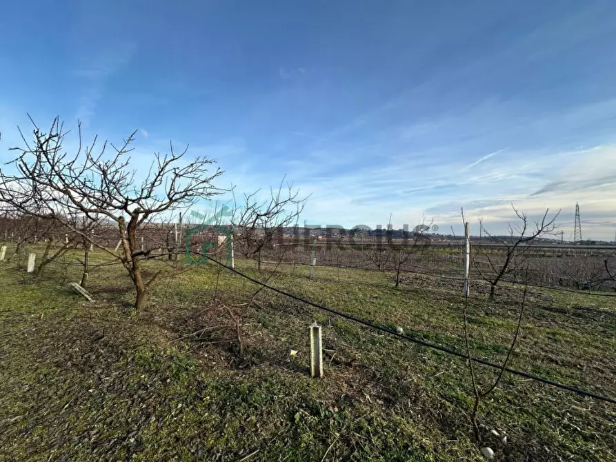 Immagine 14 di Terreno in vendita  in LOCALITA' CA` GINI a Colognola Ai Colli