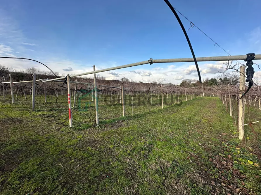 Immagine 15 di Terreno in vendita  in LOCALITA' CA` GINI a Colognola Ai Colli