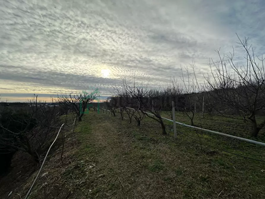 Immagine 16 di Terreno in vendita  in LOCALITA' CA` GINI a Colognola Ai Colli