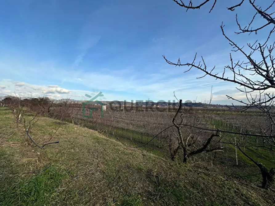 Immagine 17 di Terreno in vendita  in LOCALITA' CA` GINI a Colognola Ai Colli