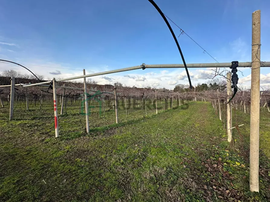 Immagine 18 di Terreno in vendita  in LOCALITA' CA` GINI a Colognola Ai Colli