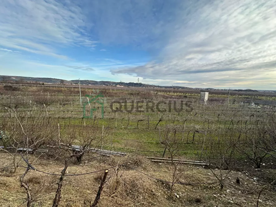 Immagine 19 di Terreno in vendita  in LOCALITA' CA` GINI a Colognola Ai Colli