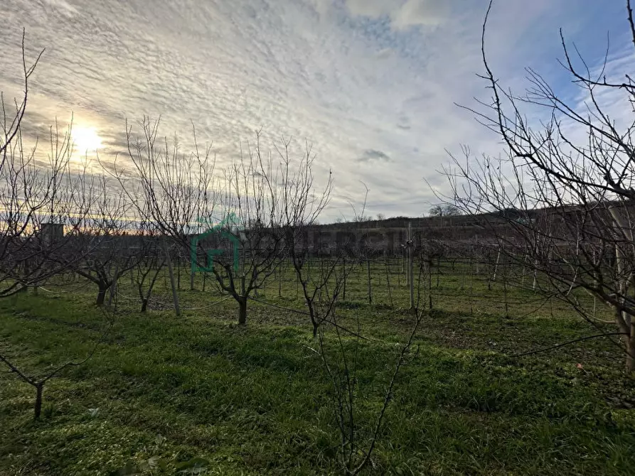 Immagine 20 di Terreno in vendita  in LOCALITA' CA` GINI a Colognola Ai Colli