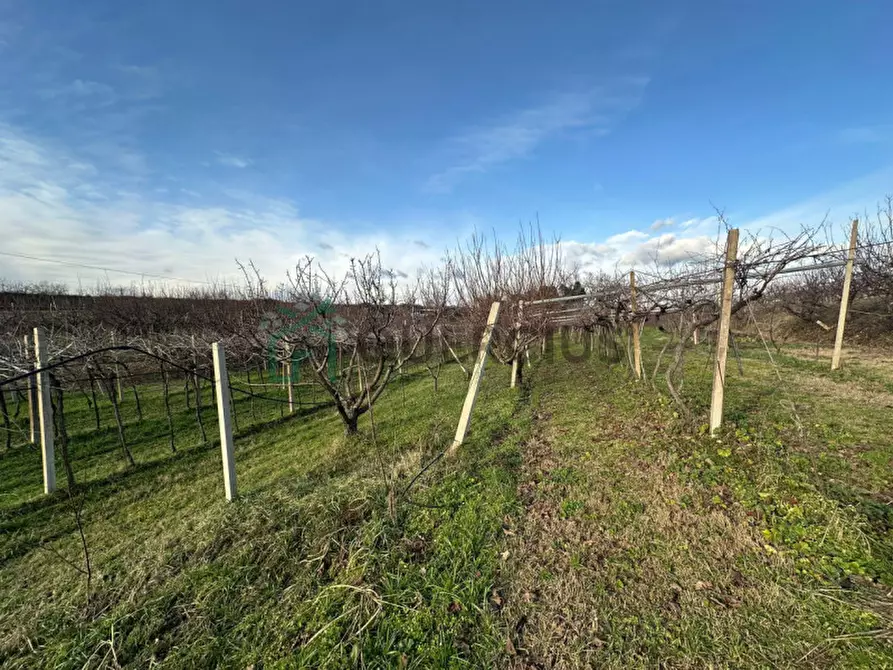 Immagine 21 di Terreno in vendita  in LOCALITA' CA` GINI a Colognola Ai Colli