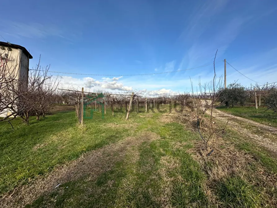 Immagine 22 di Terreno in vendita  in LOCALITA' CA` GINI a Colognola Ai Colli